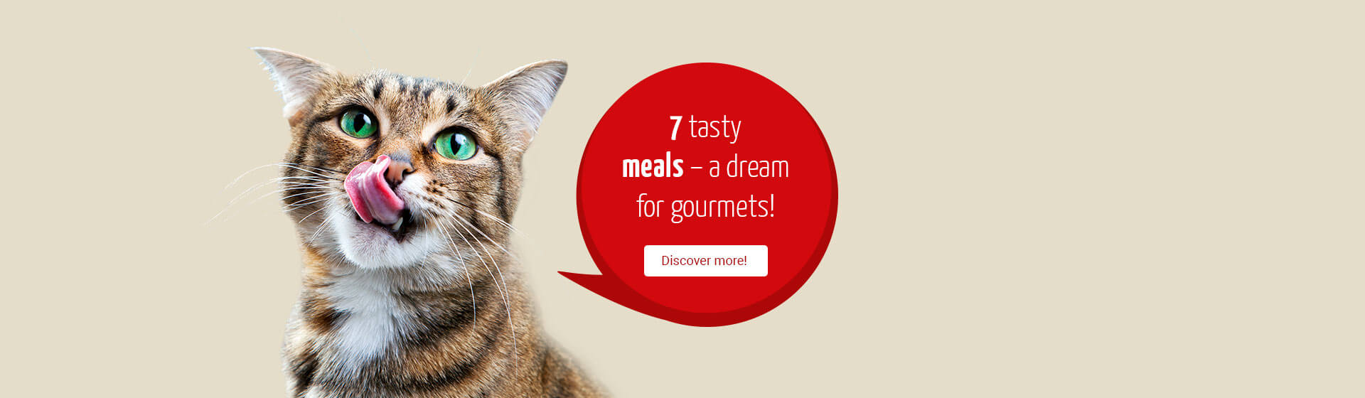 7 leckere Gerichte - ein Traum für Gourmets!